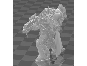 şampiyon pelerini spacewolfi minyatür spacewolves warhammer 40k kurt 3d print model - Mito3D