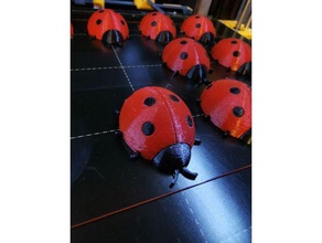 ladybug space magnet multimaterial multicolor fridge 3d print model - Mito3D
