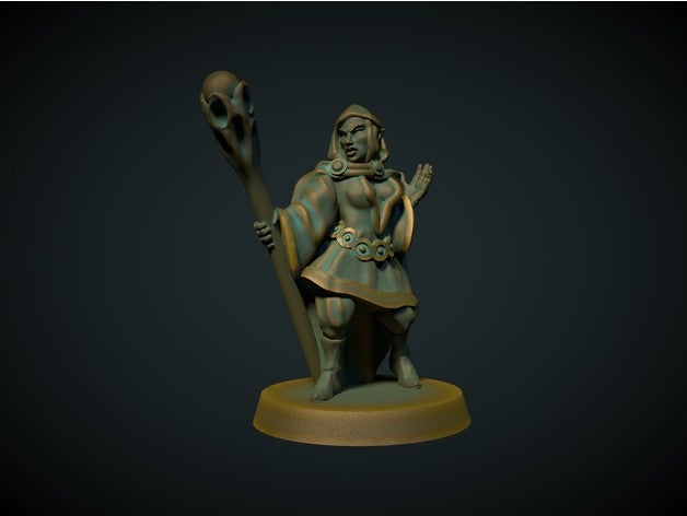 feminino elf mage 28mm sem os apoios necessários dnd elven frostgrave mago warhammer warlock assistente 3D print model - Mito3D