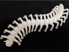 flexi ciempiés remix error caterpillar critter flex flexible de la articulación milpiés juguete el gusano 3d print model - Mito3D