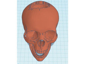 cranio dadi torre gioco da tavolo i dungeonsanddragons dungeons dragons rpg di 3d print model - Mito3D