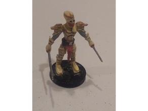 morrowind armadura de quitina dark elf dnd em miniatura masmorras e dragões dunmer elder scrolls herói mini 3d print model - Mito3D