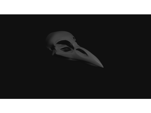 crow skull crowskull 3D print model - Mito3D