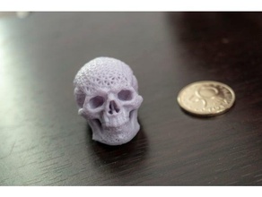 Fileli kafatası anatomi ayrıntılı insan örgü sla 3d print model - Mito3D