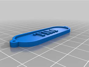 tim nameplate customized 3d print model - Mito3D