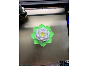 flor de loto vietnam 3d print model - Mito3D