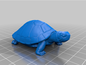 turtle stl-Fehler behoben Tiere 3d print model - Mito3D