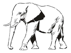 elephant stencil airbrush mammal 3d print model - Mito3D
