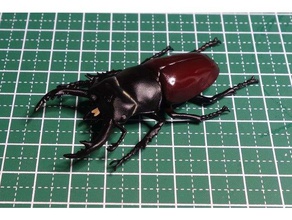 dorcus arrowi insect lucanidae stag beetle 3d print model - Mito3D