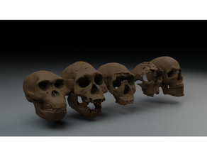 l'evoluzione umana di serie 3d print model - Mito3D