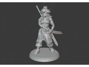 warrior princess peach see description ice mario dnd dungeons stark super smash brothers swordsman wario 3d print model - Mito3D