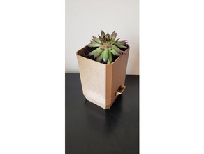 auto arrosage planteur cactus pot de fleur la jardinière plante en auto-arrosage petit 3d print model - Mito3D