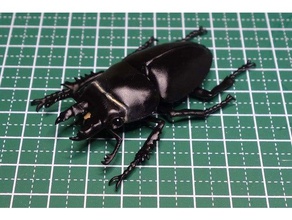 neolucanus protogenetivus böcek lucanidae geyik böceği 3d print model - Mito3D