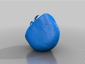 geocaching steen met schorpioen 3d print model - Mito3D