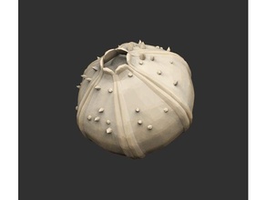 throwable items x12 savage planet acid bait bomb cactus cartographer electric extractor fruit grapple item journey light live objects player poop ppuffer root sampler seed shooting throw 3d print model - Mito3D