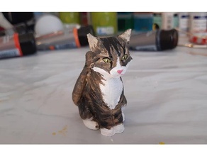 snookey kedi hayvan kediler heykelcik yavrusu kitty mini 3d print model - Mito3D