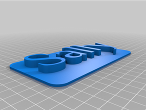 sally 3d crachá identificação placa pulseira personalizada nominal 3d print model - Mito3D