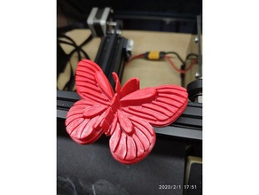 butterfly 3d print model - Mito3D