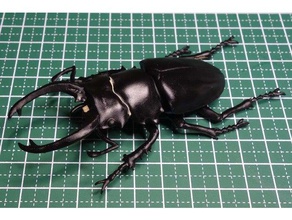 odontolabis dalmanni böcek lucanidae geyik böceği 3d print model - Mito3D