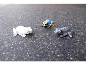 reed kurbağa amfibi hyperolius ağaç kurbağası 3d print model - Mito3D