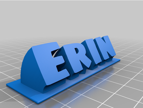 erin customized 3d print model - Mito3D