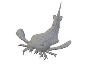 eurypterus remipes 1 35 Kreatur eurypterid prähistorische Tiere scorpion sea Silur 3d print model - Mito3D