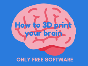Impressão 3d cérebro Impressos fácil freesurfer software livre 3d print model - Mito3D