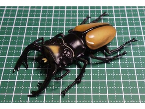 odontolabis spectabilis insectes lucanidae cerf volant 3d print model - Mito3D