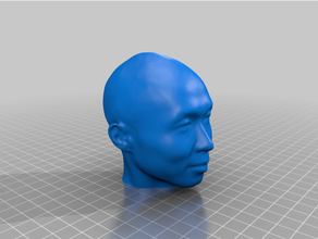 mitani rosto cabeça real scan 3d print model - Mito3D
