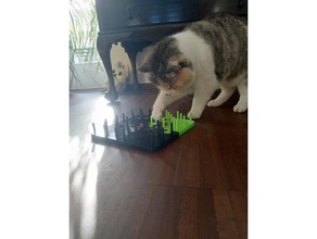 brinquedo gato tabuleiro pinos jogar 3d print model - Mito3D