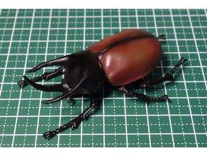 beckius beccarii beetle insetto 3d print model - Mito3D