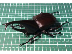 xylotrupes gideon beetle insetto 3d print model - Mito3D