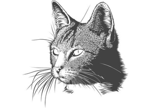 vecteur chat cat 3d print model - Mito3D