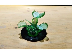 tirando flytrap miniatura pathfinder mini 3d print model - Mito3D