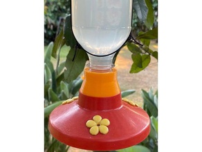 colibrí alimentación pop adaptador frasco 2l botella alimentador 3d print model - Mito3D