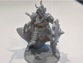 gloomhaven feminino inox bruta miniatura 3d print model - Mito3D