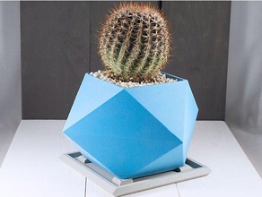 spikey fioriera cactus vaso piatto indoor giardino interno coperta prospettiva pianta fioriere 3d print model - Mito3D