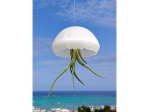 jellyfish air plant holder airplants cute fun hanging planter sea 3d print model - Mito3D