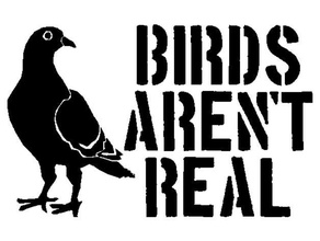 oiseaux réel pochoir big brother réelle conspiration drones faux illuminati surveillance caméra vérité 3d print model - Mito3D