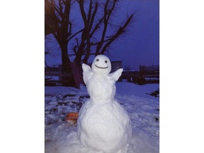 boneco neve rosto pin snowmanface 3d print model - Mito3D