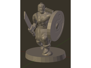 luchador dnd miniatura guerrero 3d print model - Mito3D