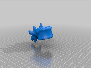 coluna vertebral 3d print model - Mito3D
