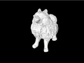 keeshond dog dutch smiling 3d print model - Mito3D
