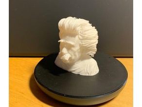 poilu Albert Einstein buste 3d print model - Mito3D