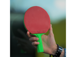 ping pong remo lâmina 3d print model - Mito3D