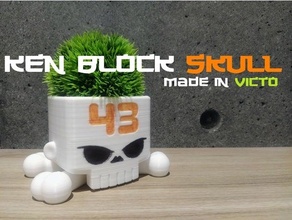 Kenblockskull Wagen dc Schuhe Hoonigan Ken Block Rennen rc 3d print model - Mito3D