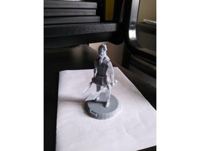 runescape personaje 3d print model - Mito3D