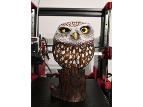 owl steinkauz 3d print model - Mito3D