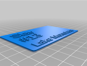 13 jugador tarjeta personalizado 3d print model - Mito3D