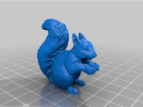 squirrel - repaired squirell 3d print model - Mito3D